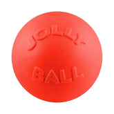 Bounce-N-Play-Rover Pet Products